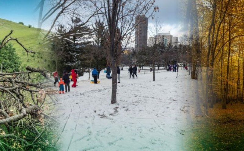 ''NU distrugeți natura cu centura''. PETIȚIE pentru protejarea PĂDURILOR Hoia și Făget