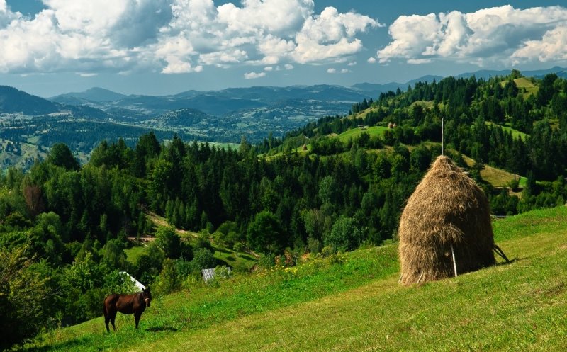 Sprijin pentru cei care aduc turişti străini în România. "Sper să vină peste 1,5 milioane de străini în 2022"