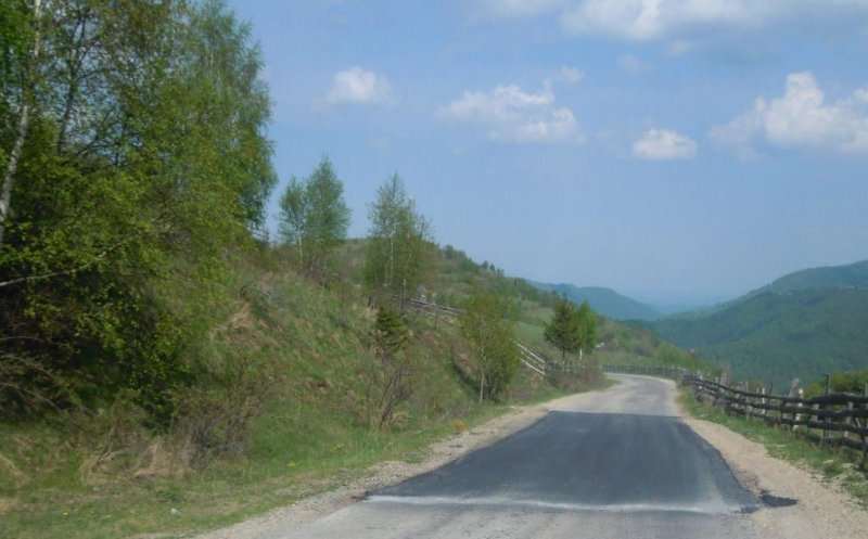 Reîmpădurire la Mărișel, cu party și Dj