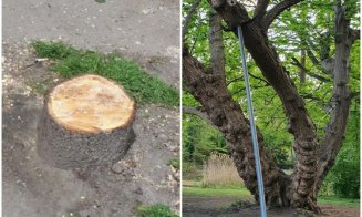 O clujeancă i-a arătat lui Emil Boc care este diferența între Cluj și Munchen