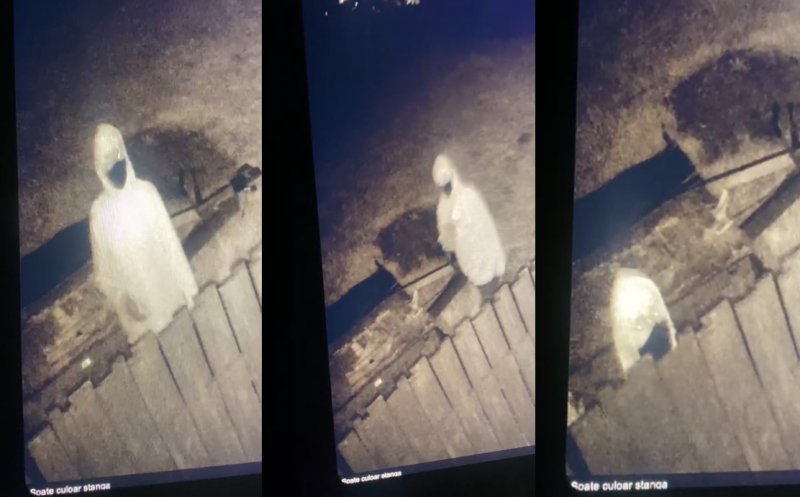 Noi IMAGINI cu hoții din Dezmir. Locuitorii spun că îi vor pe mâna poliţiei