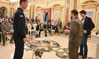 Patron, câinele genist din Ucraina, a fost decorat de președintele Zelenski