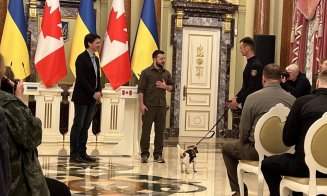 Patron, câinele genist din Ucraina, a fost decorat de președintele Zelenski