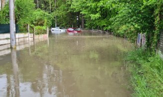 Natura la contrazis pe Emil Boc. La Cluj nu e ca la Barcelona, e ca la Venezia