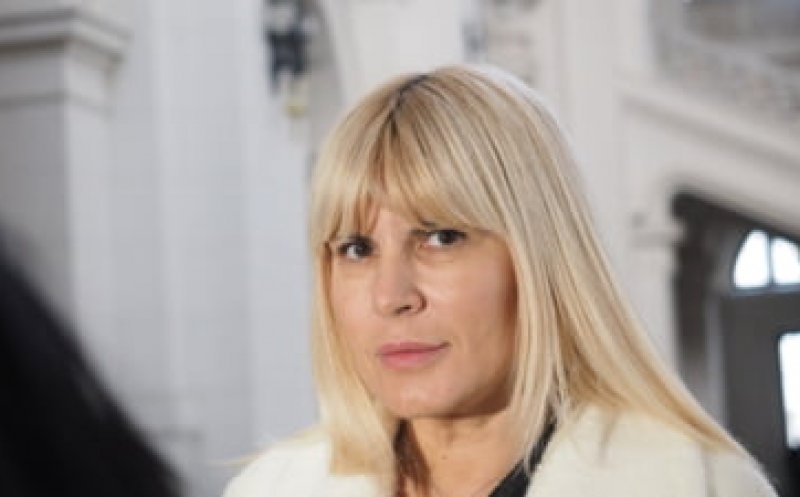 Elena Udrea mai stă în Bulgaria. S-a amânat decizia de extrădare