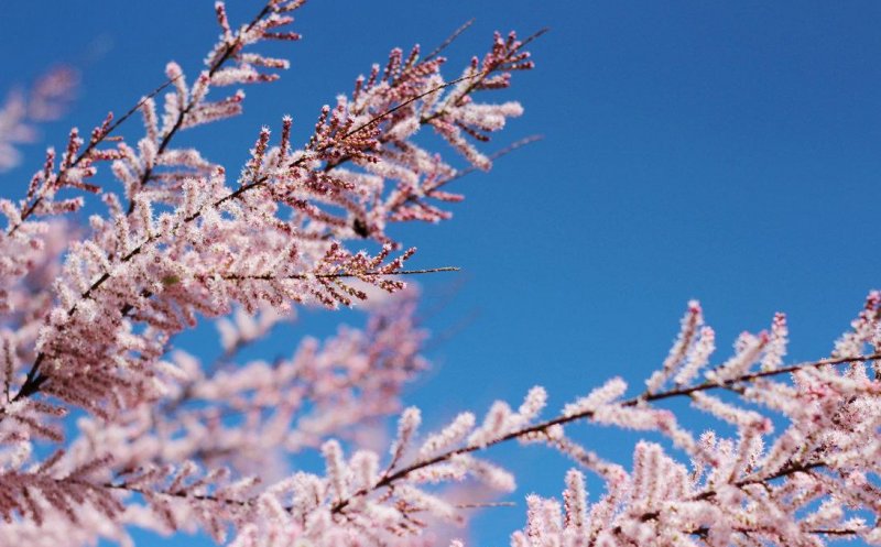Vremea se încălzește semnificativ, cu temperaturi de până la 31 de grade Celsius