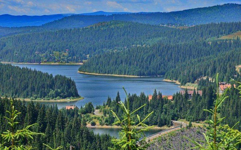 Maria Forna anunță ce planuri are Consiliul Județean pentru zona de munte a Clujului