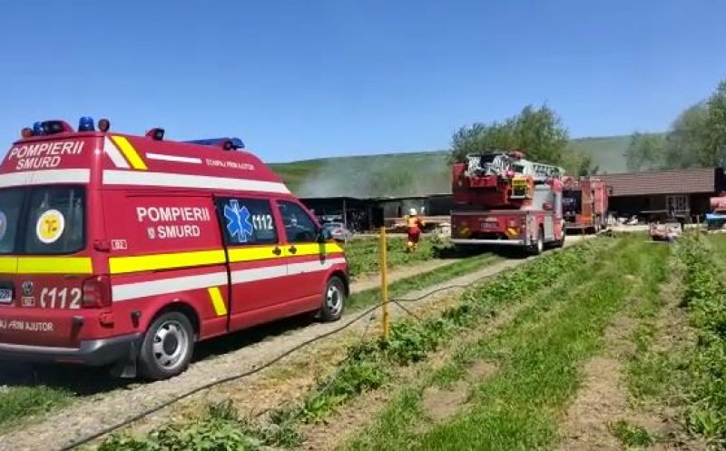 Incendiu puternic la o magazie din Cluj. Au intervenit pompierii și SMURD-ul