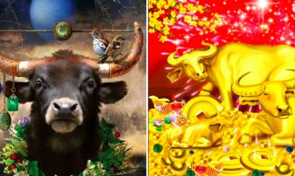 Zodiac chinezesc pentru 28 mai. Două semne zodiacale fac eforturi pentru relațiile lor