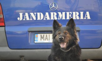 Jandarmeria Cluj își deschide porțile de 1 IUNIE