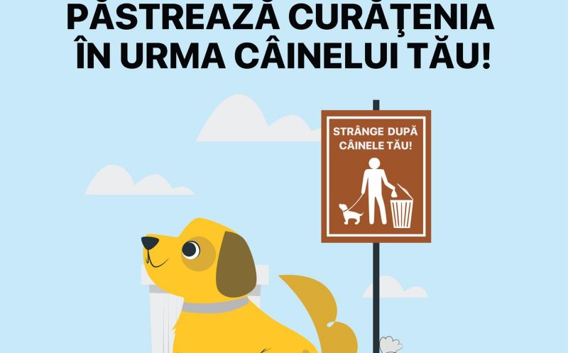 Păstrează curățenia în urma câinelui tău! Amenzi de pana la 600 lei