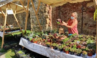 Producători de plante și flori din toată țara vin pe Strada Potaissa