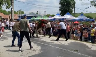 Momente de groază într-un sat din Cluj. Un bărbat a fost trântit la pământ de un bou