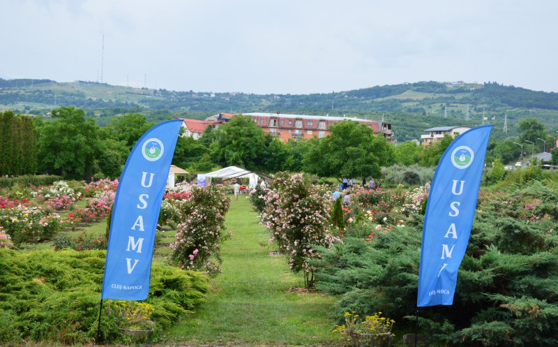 Ziua De Cluj Parfum De Cluj Usamv I Invit Pe Clujeni S I Viziteze Colec Ia De Peste