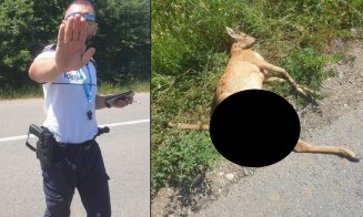 Motivul incredibil pentru care fost amendat clujeanul care a sunat la poliție după ce a găsit un căprior mort