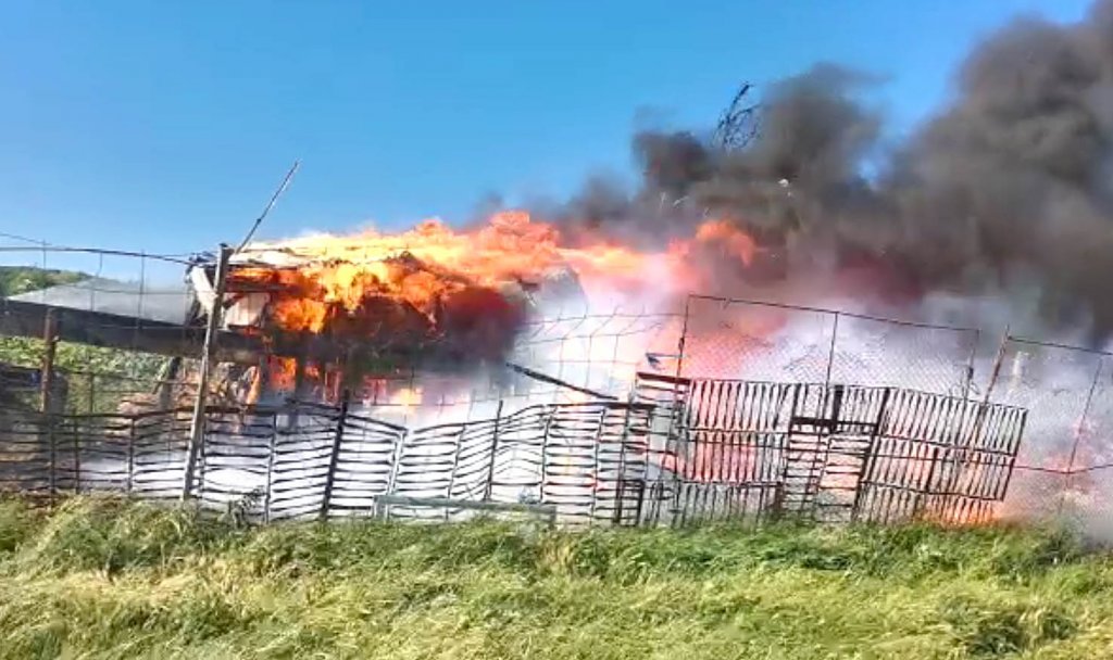 INCENDIU în Cluj-Napoca: O anexă gospodărească s-a făcut scrum. 2 porci au murit în flăcările întețite de vântul puternic