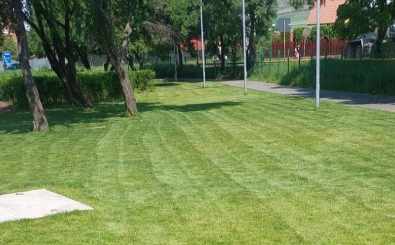 Curățenie de vară pe spațiile verzi din Florești. Unde s-a intervenit până acum