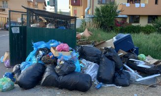 Puhoi de gunoaie pe strada Porii din Florești. Oamenii duc şi canapele la pubelă