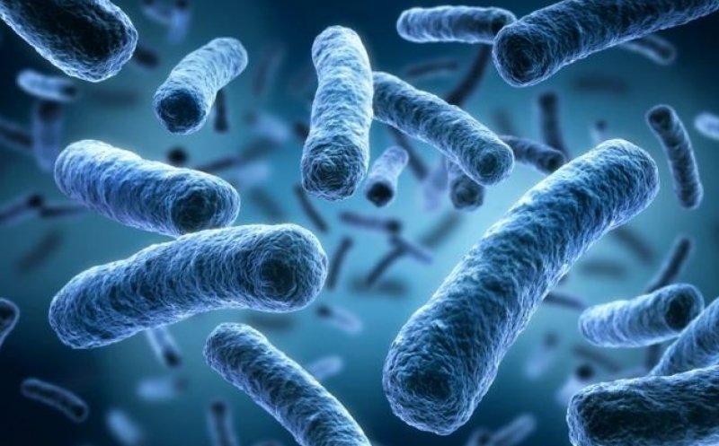 A fost descoperită o bacterie uriașă, cea mai mare de până acum. Cercetător: "Se vede cu ochiul liber. Răstoarnă codurile microbiologiei"