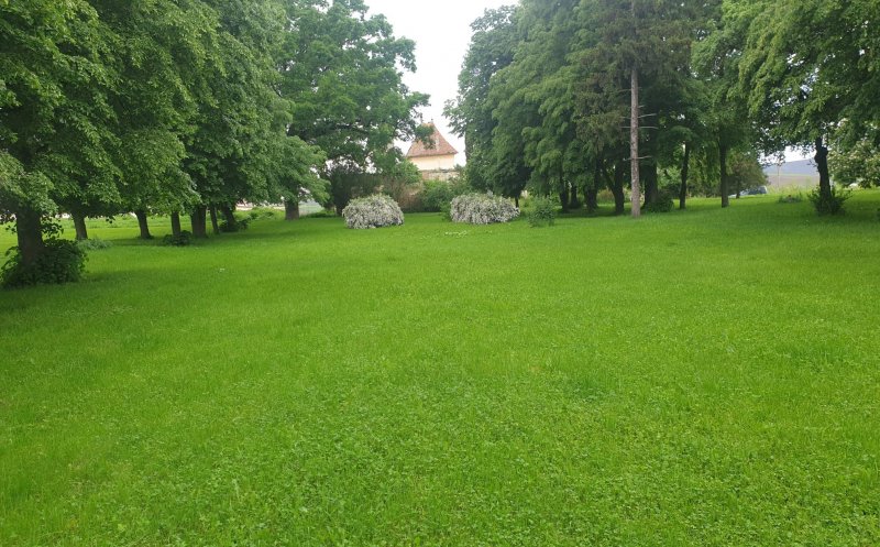 Manele le castel în Cluj. Au copiat festivalul Electric Castle?