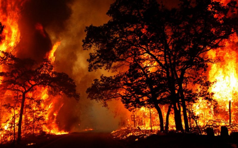 Revin incendiile de vegetaţie în Grecia. Un oraş de lângă Atena, evacuat