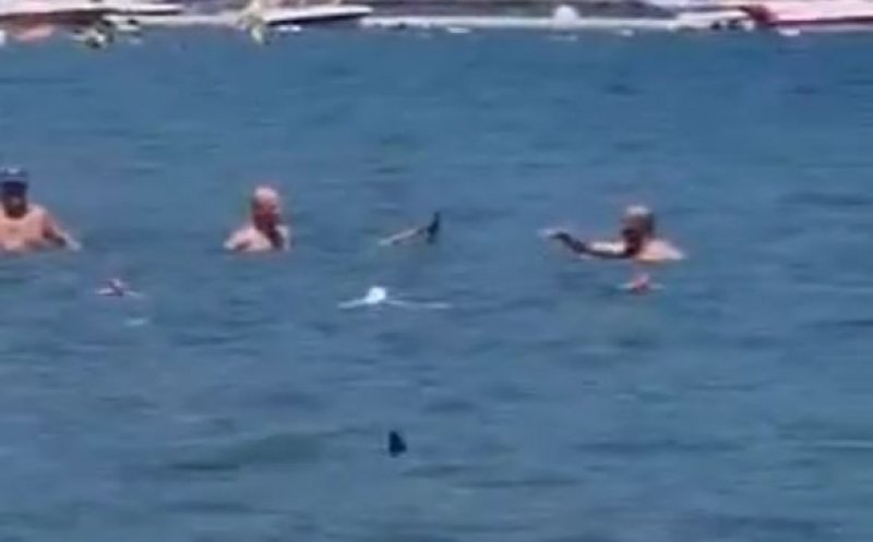 Panică totală pe o plajă din Turcia! Un rechin a fost alungat de turiști cu un mop