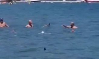 Panică totală pe o plajă din Turcia! Un rechin a fost alungat de turiști cu un mop