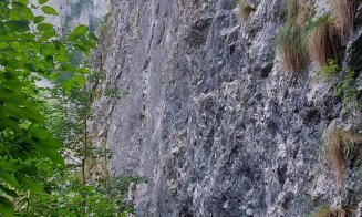 S-au reamenajat traseele de escaladă la Cheile Turzii