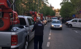 O nouă acțiune de dezinsecție pe domeniul public și privat