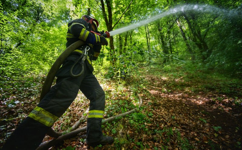 Incendiu de pădure în Beliș. Intervin pompierii