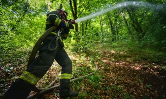 Incendiu de pădure în Beliș. Intervin pompierii