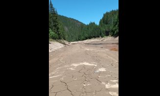Lacul Beliș seacă pe zi ce trece. Canicula și lipsa ploilor „lovesc” fără milă