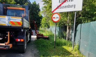 Se face curățenie pe marginea drumurilor județene din Cluj. Crește vizibilitatea în trafic