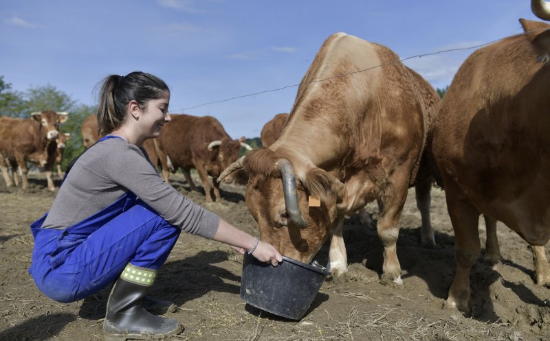 Bani pentru fermieri. APIA le dă 1,4 milioane de lei celor din sectorul creșterii animalelor