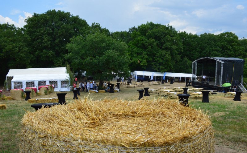 USAMV Cluj-Napoca, partener la „Apold Weinfest”, cu vinuri și produse din fermele proprii / Cum a fost la eveniment