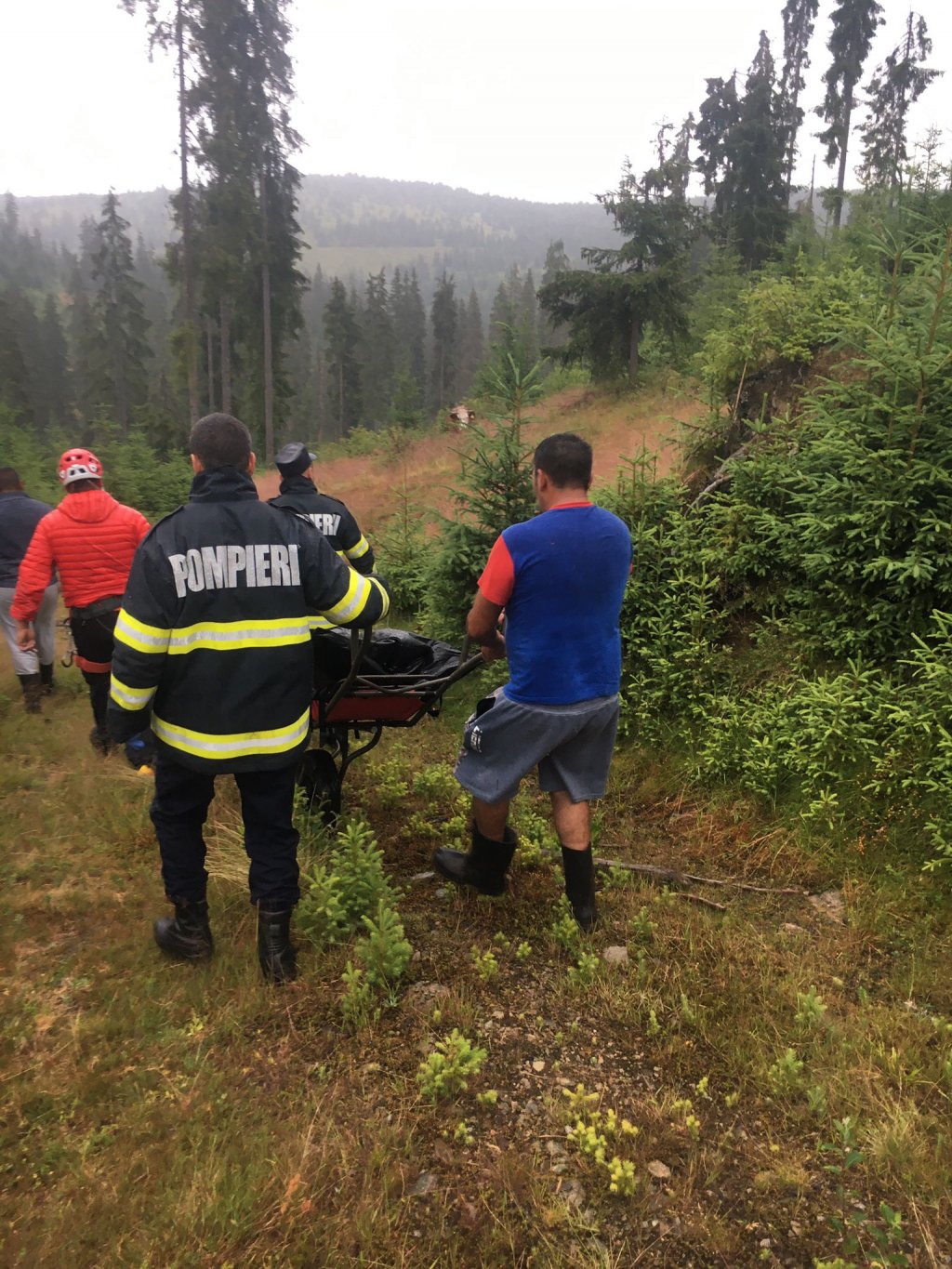 A MURIT la munte, în timp ce culegea fructe de pădure. Trupul i-a fost recuperat de salvamontiști
