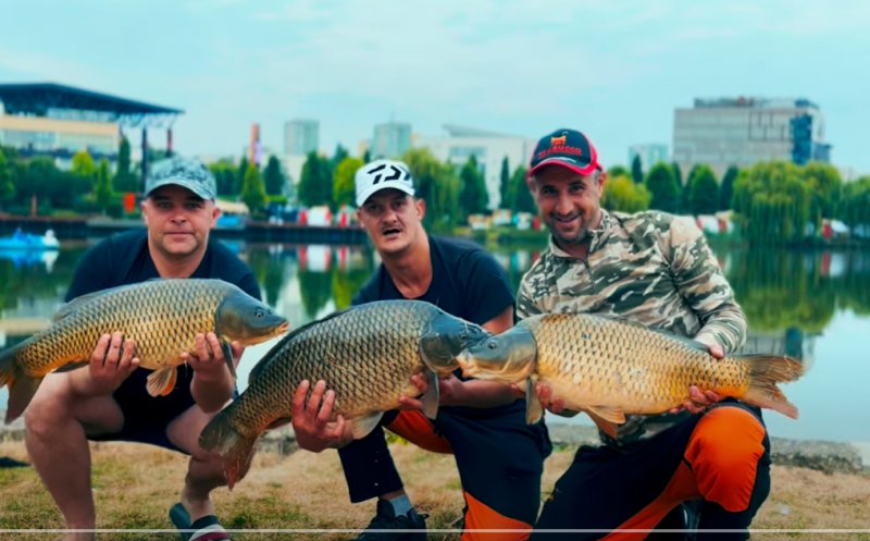 Captură impresionantă pe Lacul Gheorgheni din Iulius Parc