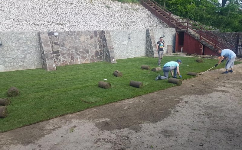 Iarba de Cluj e roditoare. Patron: „Sunt oameni care investesc zeci de mii de euro în spații verzi”