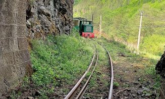 "Fain de tot, cum se zice în Ardeal": Peisaje unice cu mocăniţa de Lunca Arieşului, la 70 de km de Cluj-Napoca