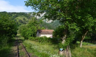 "Fain de tot, cum se zice în Ardeal": Peisaje unice cu mocăniţa de Lunca Arieşului, la 70 de km de Cluj-Napoca