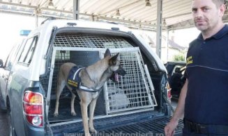 Veneau la UNTOLD, la Cluj-Napoca, dar ajuns doar până la graniţă. Un câine-poliţist le-a depistat drogurile din bagaje