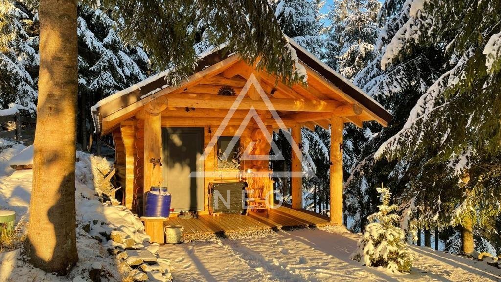 Cabană drăguță în Apuseni și pădure, la doar 49.500 euro. Cum arată
