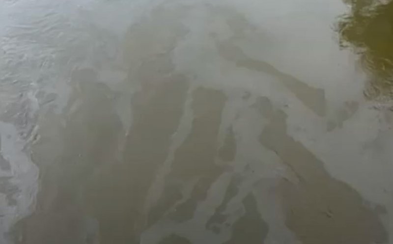 Poluare cu ULEI pe Someș în Cluj-Napoca. Ar fi de la utilajele care lucrează la malurile râului