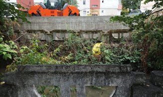 Activist civic: "au blocat accesul la Canalul Morii și au betonat și mai tare și la o înălțime mai mare zona adiacentă"
