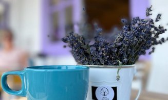 Cum să duci relaxarea la tine acasă: Coffee Shop la "Nucul din lavandă". Merită să încerci cafeaua, prăjiturile sau limonada cu lavandă