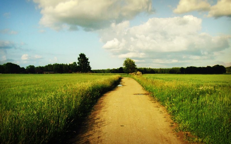 Meteorologii au emis noi atenţionări pentru weekend! Clujul, sub COD GALBEN de vreme extremă