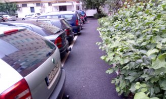 Curat ca-n palmă în mai puţin de-o lună pe aleile dintre blocuri cu acces la Oficiul Poştal 15 din Mănăştur