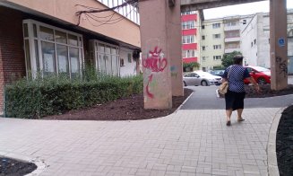 Curat ca-n palmă în mai puţin de-o lună pe aleile dintre blocuri cu acces la Oficiul Poştal 15 din Mănăştur