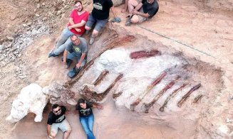 Dinozaurul din grădină, care ar putea avea 150 milioane de ani