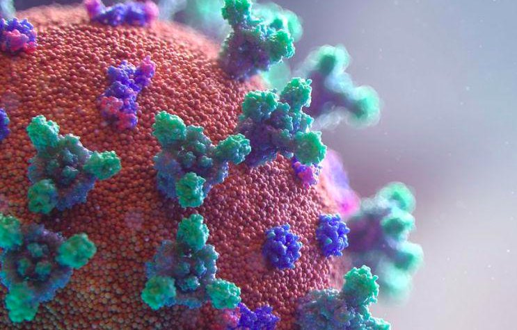 Avertizare EMA despre apariția unei noi variante de Coronavirus în această iarnă